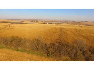 Property photo 14 - LAND AUCTION - 664+/- ACRES OFFERED IN 17 TRACTS IN CASS CO., NEBRASKA